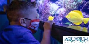 Aquarium of Niagara header image